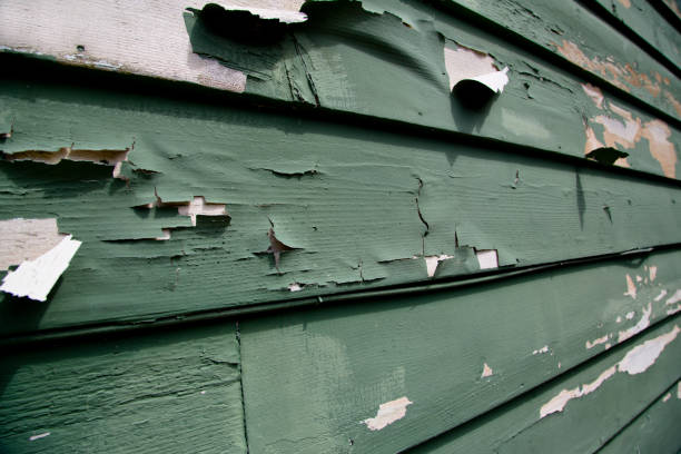 Best Fiber Cement Siding Installation  in Citrus, CA